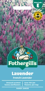 Lavender French Lavender Seeds - image 1