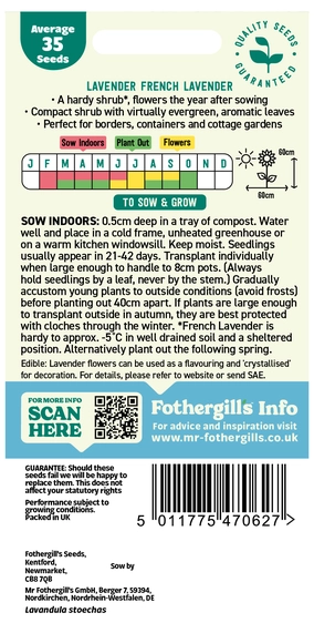 Lavender French Lavender Seeds - image 2