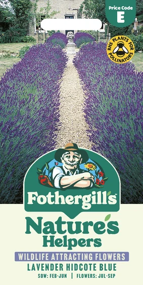 Lavender Hidcote Blue Seeds - image 1