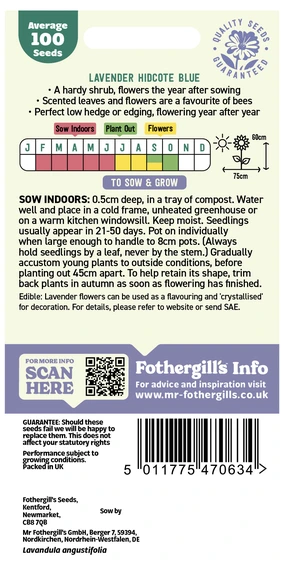 Lavender Hidcote Blue Seeds - image 2