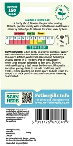 Lavender Munstead - image 2