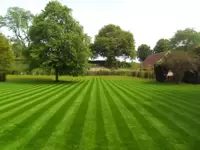 Lawn Care