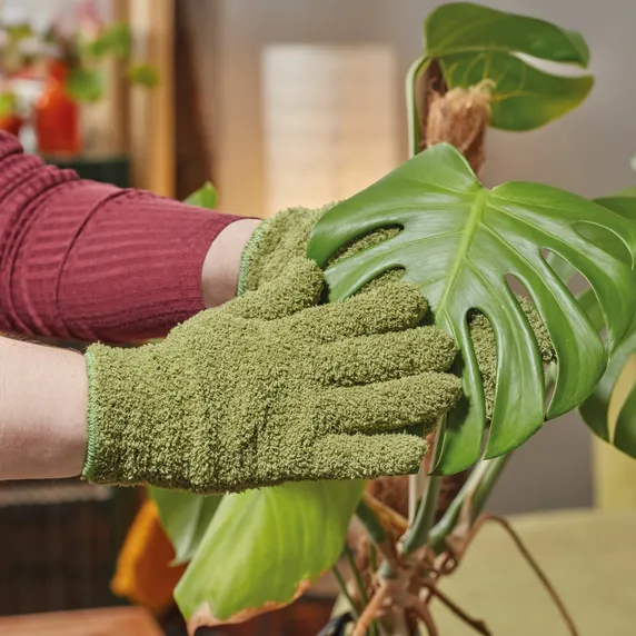 Leaf Shine Gloves