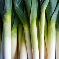 Leek