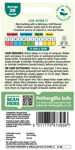 Leek Autora F1 Seeds - image 2