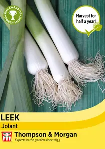 Leek Jolant Seeds - image 1