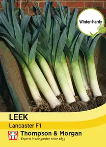 Leek Lancaster F1 - image 1