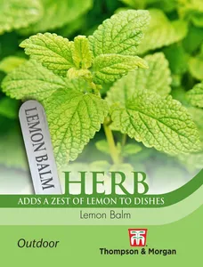 Lemon Balm - image 1