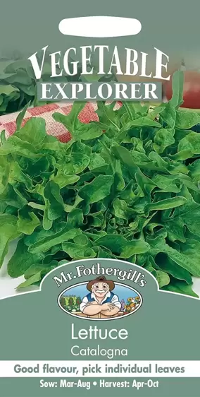 Lettuce Catalogna - image 1