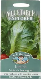 Lettuce Frisee De Beauregard - image 1