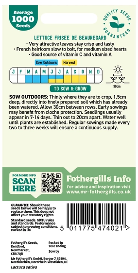 Lettuce Frisee De Beauregard - image 2