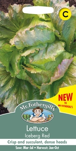 Lettuce Iceberg Red - image 1