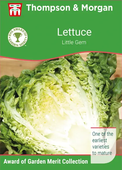 Lettuce Little Gem Seeds - image 1