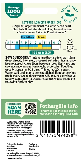 Lettuce Lobjoits Green Cos - image 2