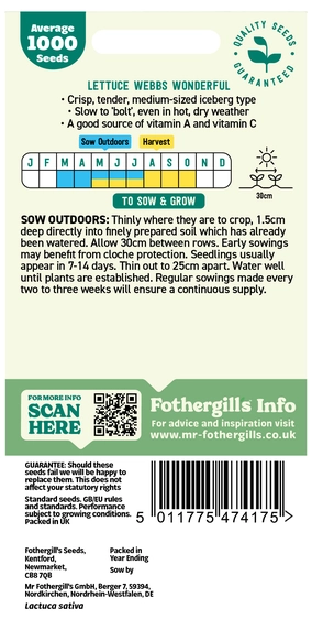 Lettuce Webbs Wonderful - image 2