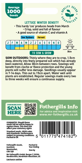 Lettuce Winter Density - image 2