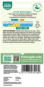 Lettuce Winter Density - image 2
