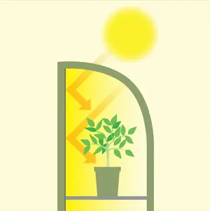 Light-Booster Double Plant House - image 3