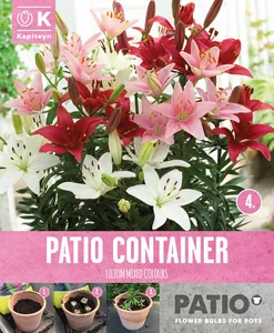 Lilium Sorbet Shades