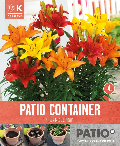 Lilium Sunshine Shades