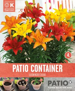 Lilium Sunshine Shades