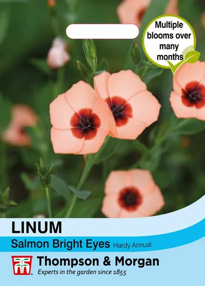 Linum Salmon Bright Eyes - image 1