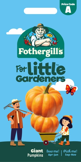 Little Gardeners Giant Pumpkins - image 1