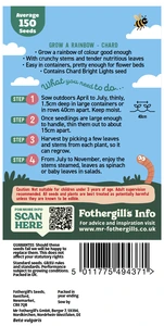 Little Gardeners Grow A Rainbow - Chard - image 2