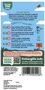 Little Gardeners Ladybird Poppies - image 2