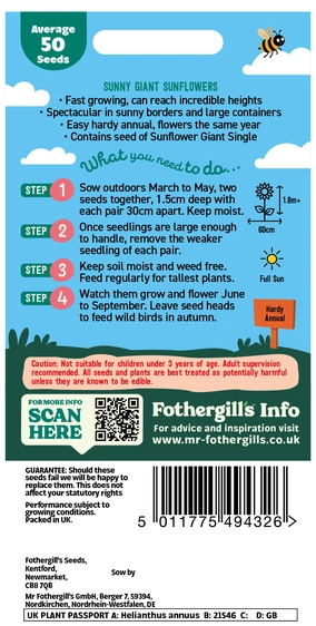 Little Gardeners Sunny Giant Sunflowers - image 2