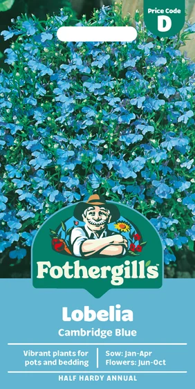 Lobelia Cambridge Blue - image 1