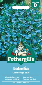 Lobelia Cambridge Blue - image 1