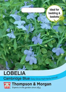 Lobelia Cambridge Blue - image 1