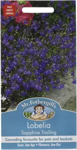 Lobelia Sapphire Trailing - image 1