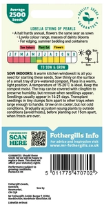 Lobelia String Of Pearls - image 2