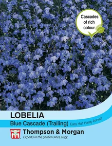 Lobelia (Trailing) Blue Cascade - image 2