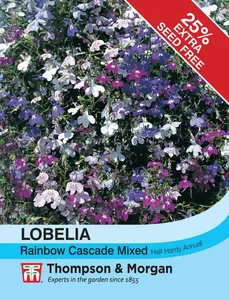 Lobelia (Trailing) Rainbow Cascade Mixed - image 1