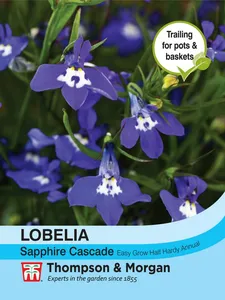 Lobelia (Trailing) Sapphire Cascade - image 1