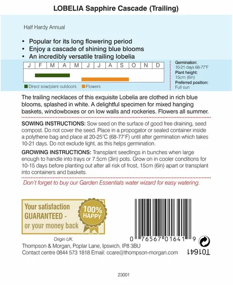 Lobelia (Trailing) Sapphire Cascade - image 2