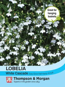 Lobelia (Trailing) White Cascade - image 1