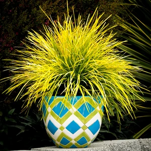 Picture Credit - Plantipp BV®