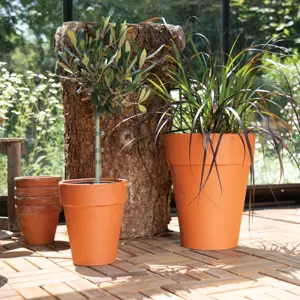 Long Tom Terracotta Pot Ø21cm - image 1