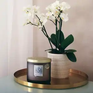 Love Always Twin Wick Candle