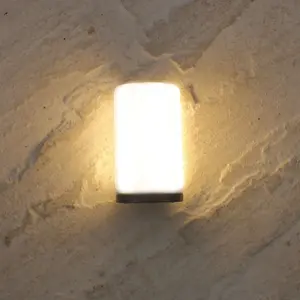 Lume Mag Bulb