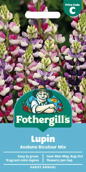 Lupin Avalune Bicolour Mix - image 1