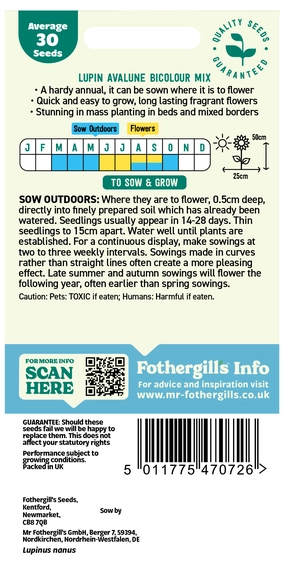 Lupin Avalune Bicolour Mix - image 2