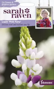 Lupin Pink Fairy - image 1