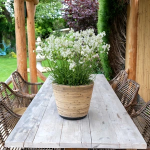 Image Credit: Plantipp BV.