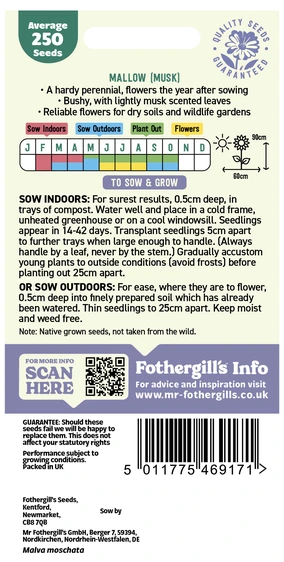 Mallow (Musk) Wildflower - image 2