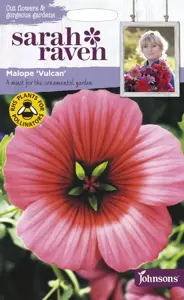 Malope Vulcan - image 1